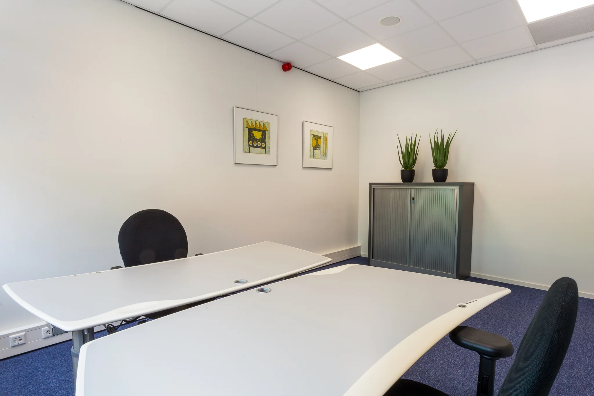 Kleine vergaderruimte met twee bureaustoelen, witte bureaus, een metalen kast met planten en twee schilderijen aan de muur.